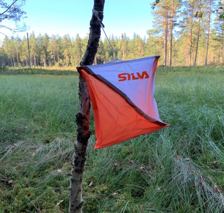 GOL 60 år